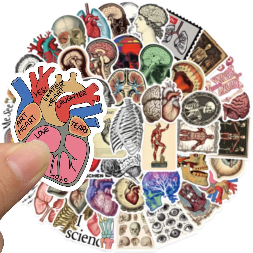 Stickers Aesthetic de Anatomia y Ciencia