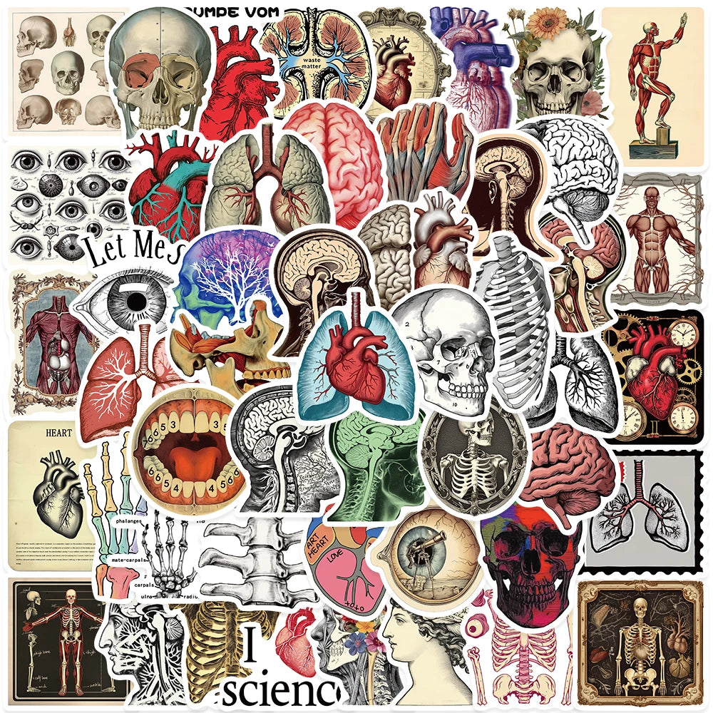 Stickers Aesthetic de Anatomia y Ciencia