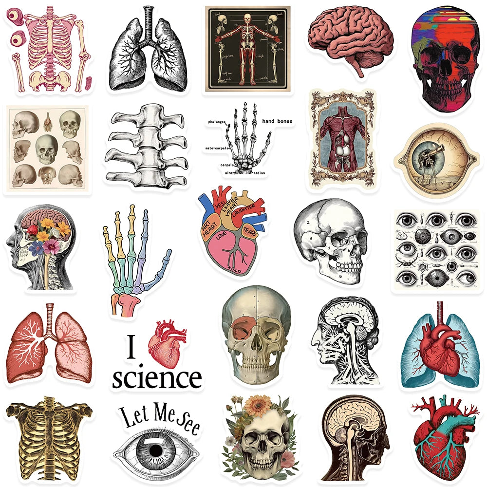 Stickers Aesthetic de Anatomia y Ciencia