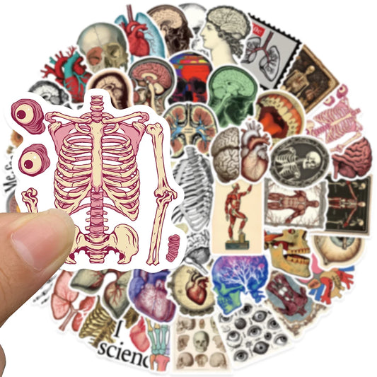 Stickers Aesthetic de Anatomia y Ciencia