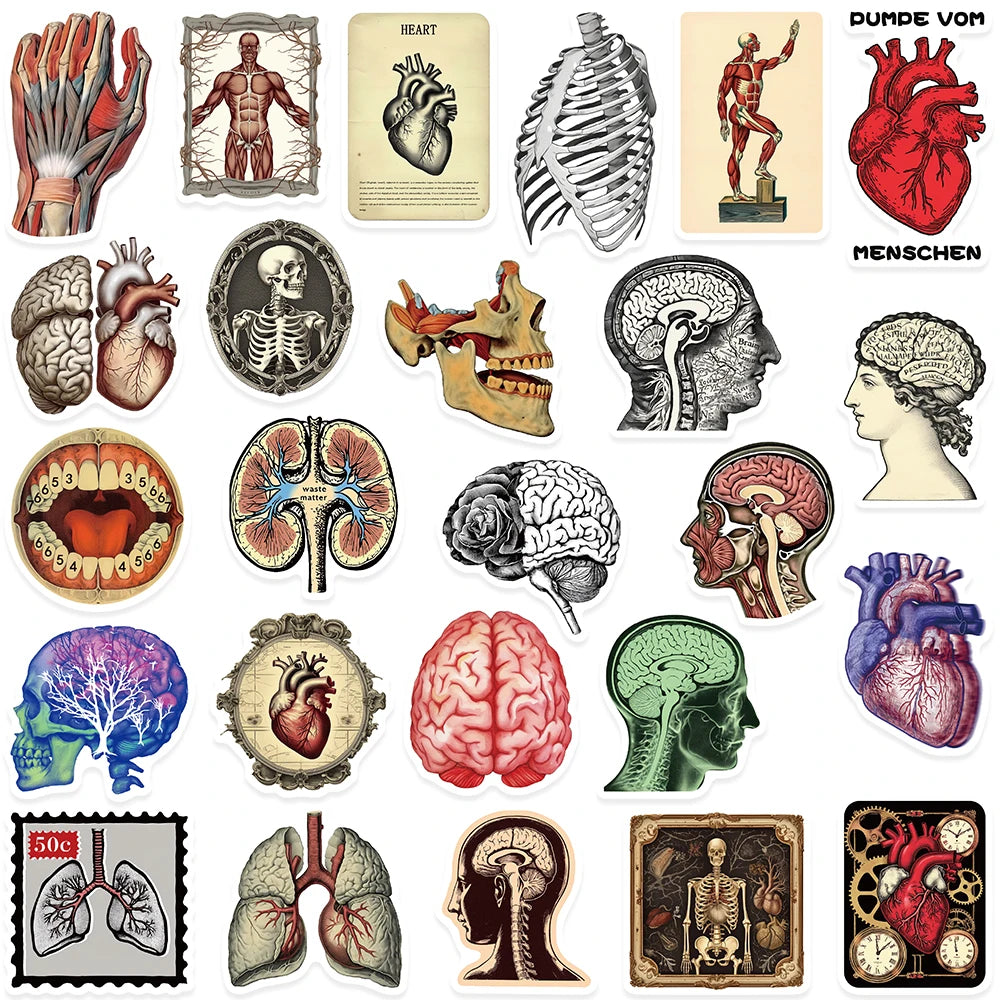 Stickers Aesthetic de Anatomia y Ciencia